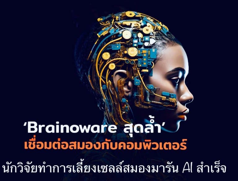 นักวิจัยทำการเลี้ยงเซลล์สมองมารัน AI สำเร็จ