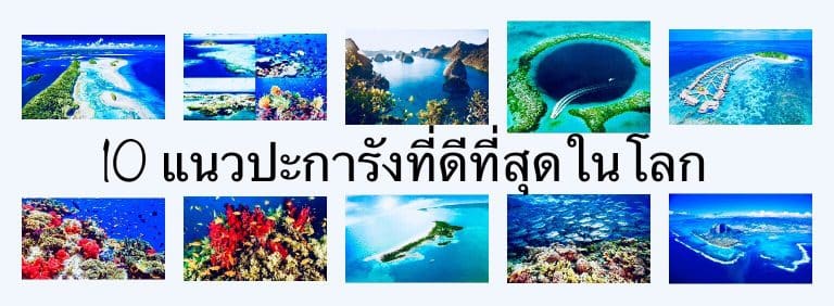 10 แนวปะการังที่ดีที่สุดในโลก