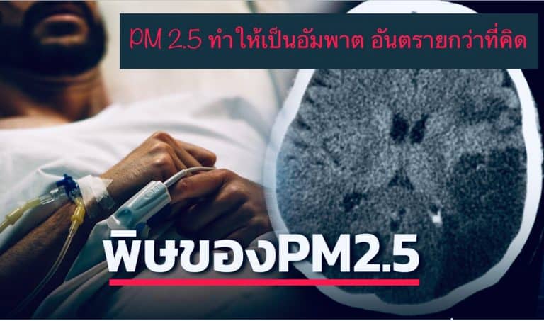 PM 2.5 ทำให้เป็นอัมพาต อันตรายกว่าที่คิด
