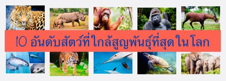 10 อันดับสัตว์ที่ใกล้สูญพันธุ์ที่สุดในโลก