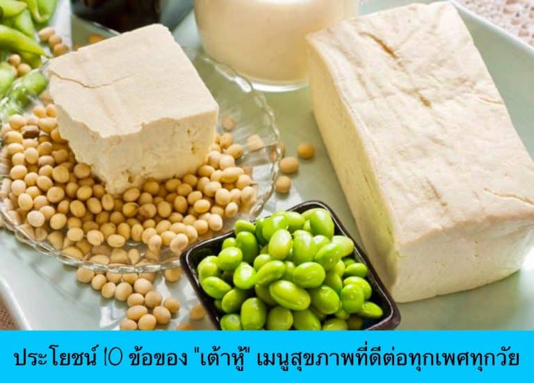 ประโยชน์ 10 ข้อของ “เต้าหู้” เมนูสุขภาพที่ดีต่อทุกเพศทุกวัย