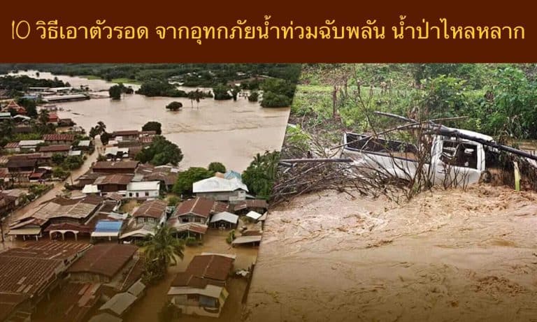 10 วิธีเอาตัวรอด จากอุทกภัยน้ำท่วมฉับพลัน น้ำป่าไหลหลาก