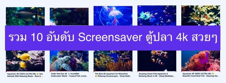 รวม 10 อันดับ Screensaver ตู้ปลา 4k สวยๆ