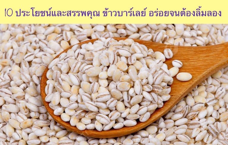10 ประโยชน์และสรรพคุณ ข้าวบาร์เลย์ อร่อยจนต้องลิ้มลอง