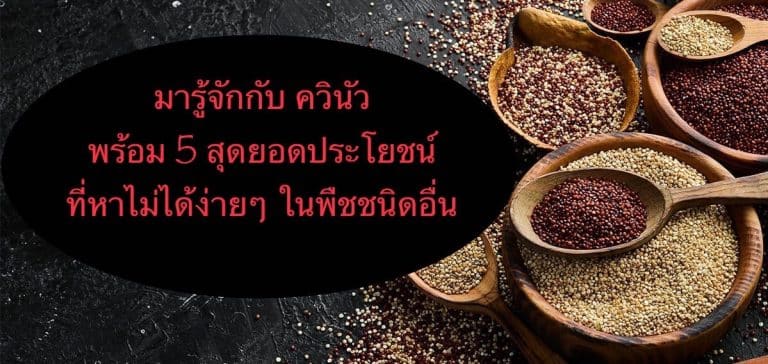 มารู้จักกับ ควินัว พร้อม 5 สุดยอดประโยชน์ที่หาไม่ได้ง่ายๆ ในพืชชนิดอื่น