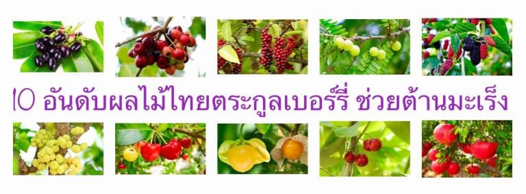 10 อันดับผลไม้ไทยตระกูลเบอร์รี่ ช่วยต้านมะเร็ง