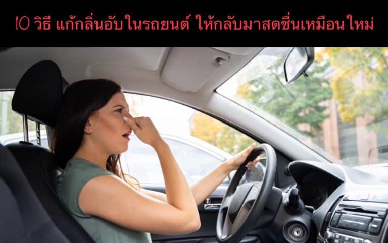 10 วิธี แก้กลิ่นอับในรถยนต์ ให้กลับมาสดชื่นเหมือนใหม่