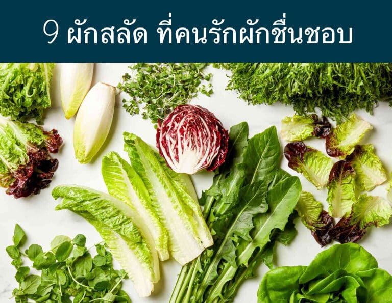 9 ผักสลัด ที่คนรักผักชื่นชอบ