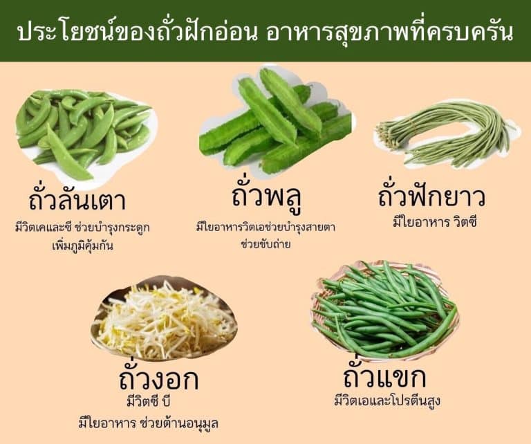 ถั่วฝักอ่อน อาหารสุขภาพที่ครบครัน