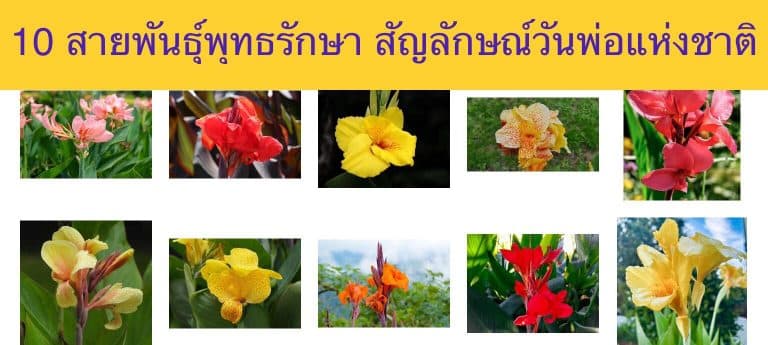 10 สายพันธุ์พุทธรักษา สัญลักษณ์วันพ่อแห่งชาติ