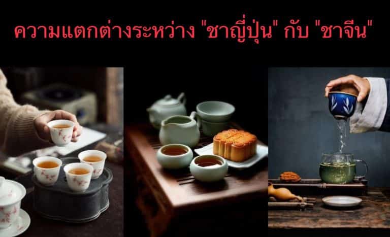 ความแตกต่างระหว่าง “ชาญี่ปุ่น” กับ “ชาจีน”