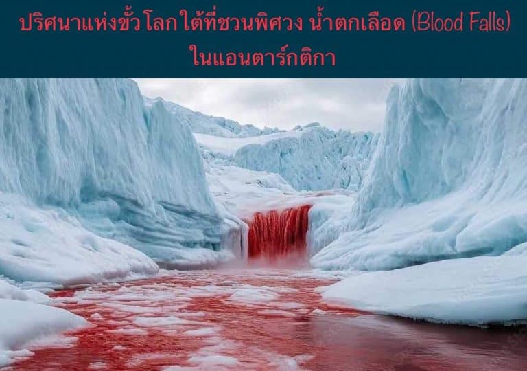 ปริศนาแห่งขั้วโลกใต้ที่ชวนพิศวง น้ำตกเลือด (Blood Falls) ในแอนตาร์กติกา