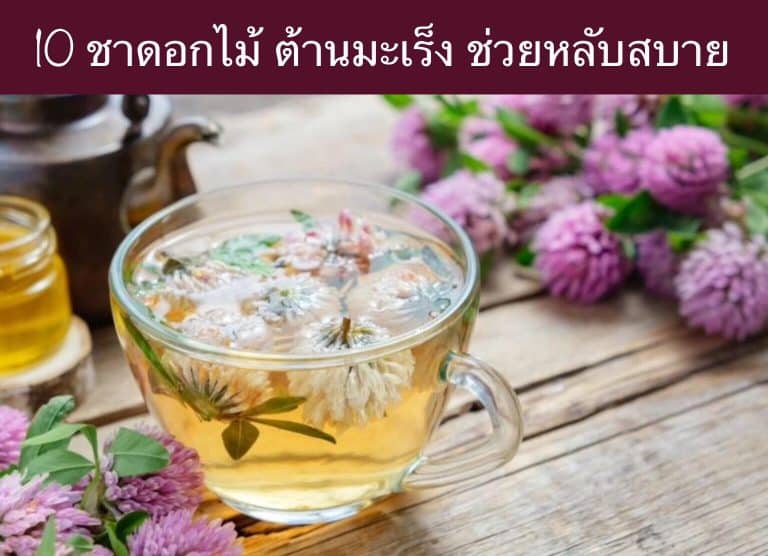 10 ชาดอกไม้ ต้านมะเร็ง ช่วยหลับสบาย