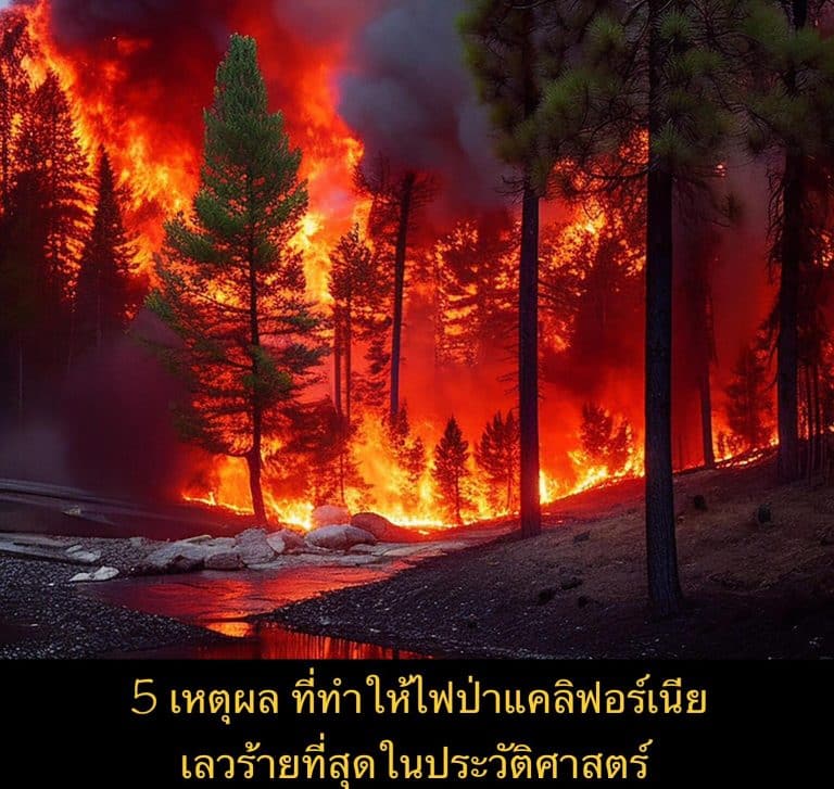 5 เหตุผล ที่ทำให้ไฟป่าแคลิฟอร์เนีย เลวร้ายที่สุดในประวัติศาสตร์