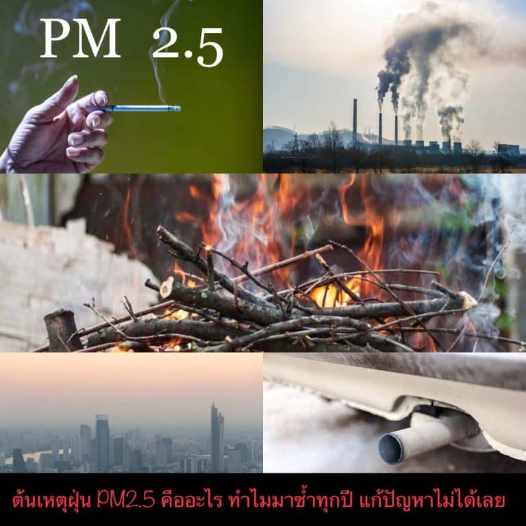 ต้นเหตุฝุ่น PM2.5 คืออะไร ทำไมมาซ้ำทุกปี แก้ปัญหาไม่ได้เลย