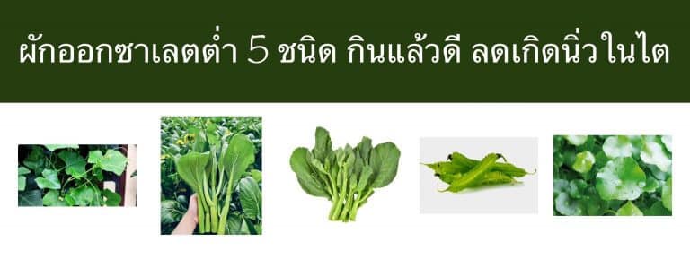 ผักออกซาเลตต่ำ 5 ชนิด กินแล้วดี ลดเกิด