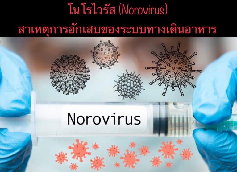 โนโรไวรัส (Norovirus) สาเหตุการอักเสบของระบบทางเดินอาหาร