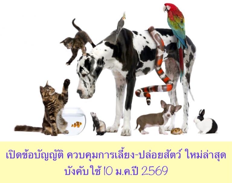 เปิดข้อบัญญัติ ควบคุมการเลี้ยง-ปล่อยสัตว์ ใหม่ล่าสุด บังคับใช้ 10 ม.ค.ปี 2569