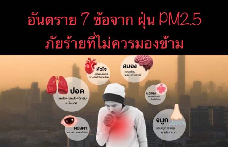 อันตราย 7 ข้อจาก ฝุ่น PM2.5 ภัยร้ายที่ไม่ควรมองข้าม
