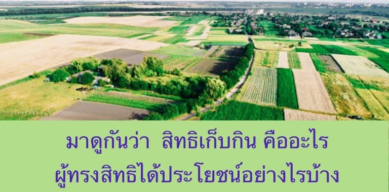 มาดูกันว่า สิทธิเก็บกิน คืออะไร ผู้ทรงสิทธิได้ประโยชน์อย่างไรบ้าง