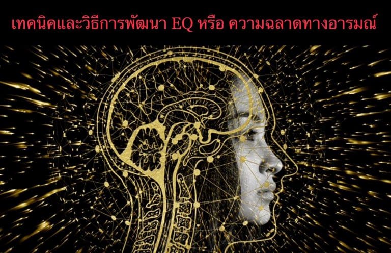 เทคนิคและวิธีการพัฒนา EQ หรือ ความฉลาดทางอารมณ์