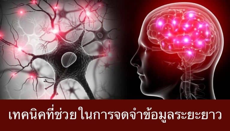 เทคนิคที่ช่วยในการจดจำข้อมูลระยะยาว