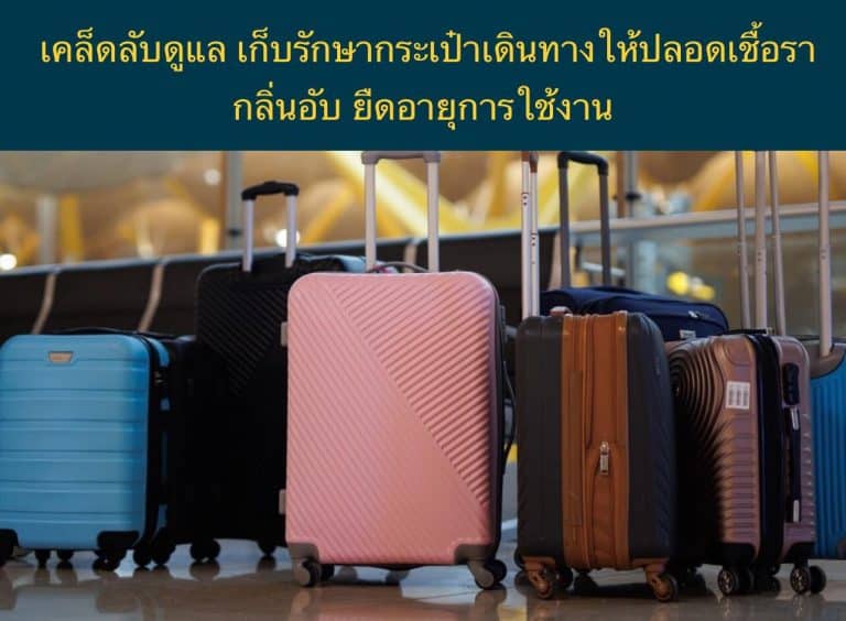 เคล็ดลับดูแล เก็บรักษากระเป๋าเดินทางให้ปลอดเชื้อรา กลิ่นอับ ยืดอายุการใช้งาน