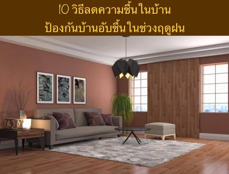 10 วิธีลดความชื้นในบ้าน ป้องกันบ้านอับชื้นในช่วงฤดูฝน