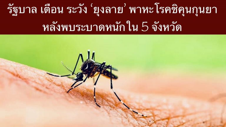รัฐบาล เตือน ระวัง ‘ยุงลาย’ พาหะโรคชิคุนกุนยา หลังพบระบาดหนักใน 5 จังหวัด