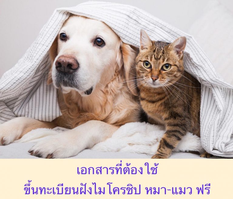 เอกสารที่ต้องใช้ ขึ้นทะเบียนฝังไมโครชิป หมา-แมว ฟรี