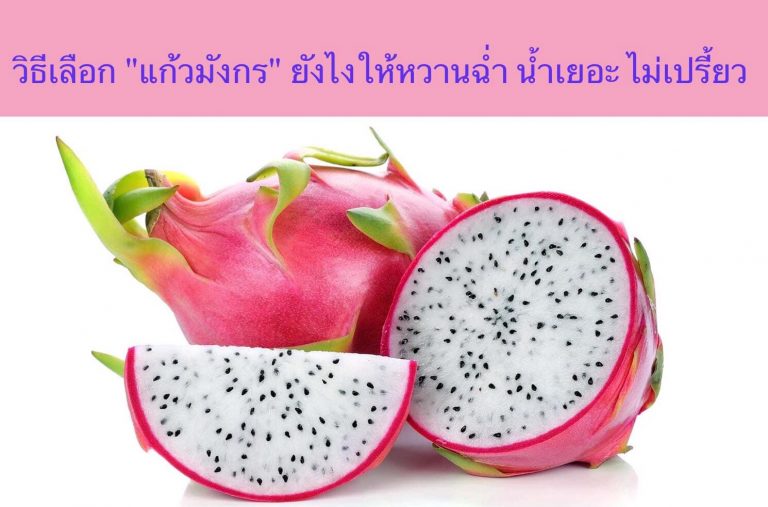 วิธีเลือก “แก้วมังกร” ยังไงให้หวานฉ่ำ น้ำเยอะ ไม่เปรี้ยว