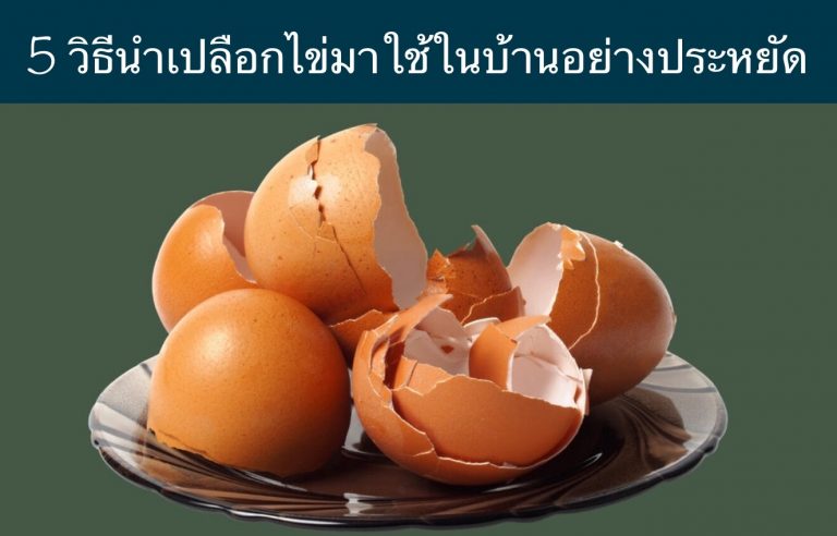 5 วิธีนำเปลือกไข่มาใช้ในบ้านอย่างประหยัด