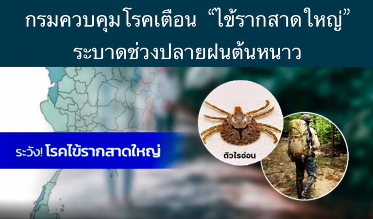 กรมควบคุมโรคเตือน “ไข้รากสาดใหญ่” ระบาดช่วงปลายฝนต้นหนาว