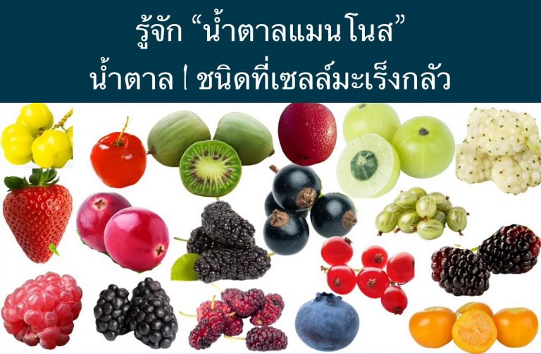 รู้จัก “น้ำตาลแมนโนส” น้ำตาล 1 ชนิดที่เซลล์มะเร็งกลัว