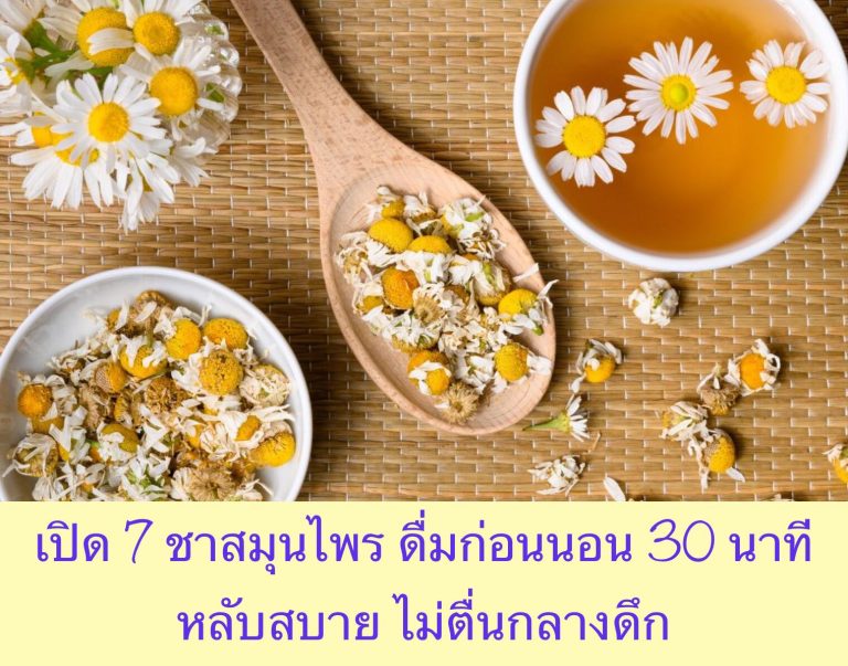 เปิด 7 ชาสมุนไพร ดื่มก่อนนอน 30 นาที หลับสบาย ไม่ตื่นกลางดึก