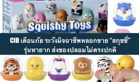 CIB เตือนภัย ระวังมิจฉาชีพหลอกขาย “สกุชชี่” รุ่นหายาก ส่งของปลอมไม่ตรงปกติ