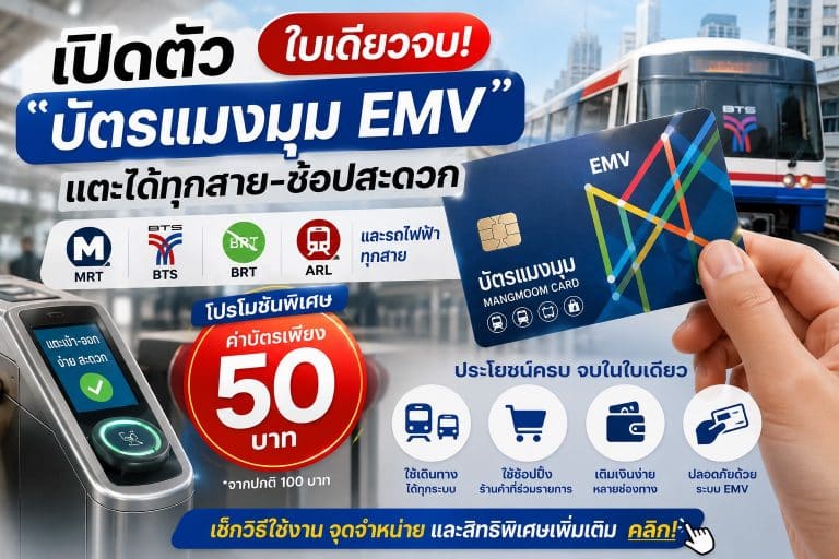 เปิดตัว “บัตรแมงมุม EMV” ใบเดียวจบ! แตะได้ทุกสาย-ช้อปสะดวก โปรโมชันค่าบัตรเพียง 50 บาท เช็กวิธีใช้งานที่นี่