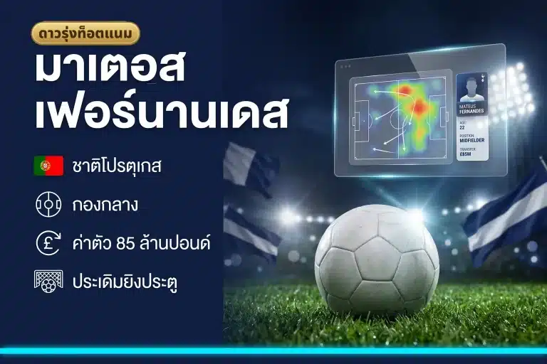 มาเตอุส เฟอร์นานเดส คือใคร? ดาวรุ่งคนใหม่ท็อตแนม