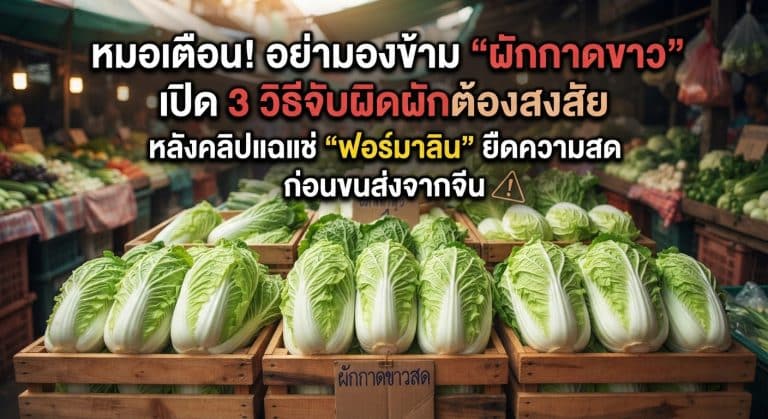หมอเตือน! อย่ามองข้าม “ผักกาดขาว” เปิด 3 วิธีจับผิดผักต้องสงสัย หลังคลิปแฉแช่“ฟอร์มาลิน” ยืดความสดก่อนขนส่งจากจีน