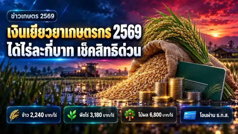 เงินเยียวยาเกษตรกร 2569 ได้ไร่ละกี่บาท เช็คสิทธิ-ขั้นตอน