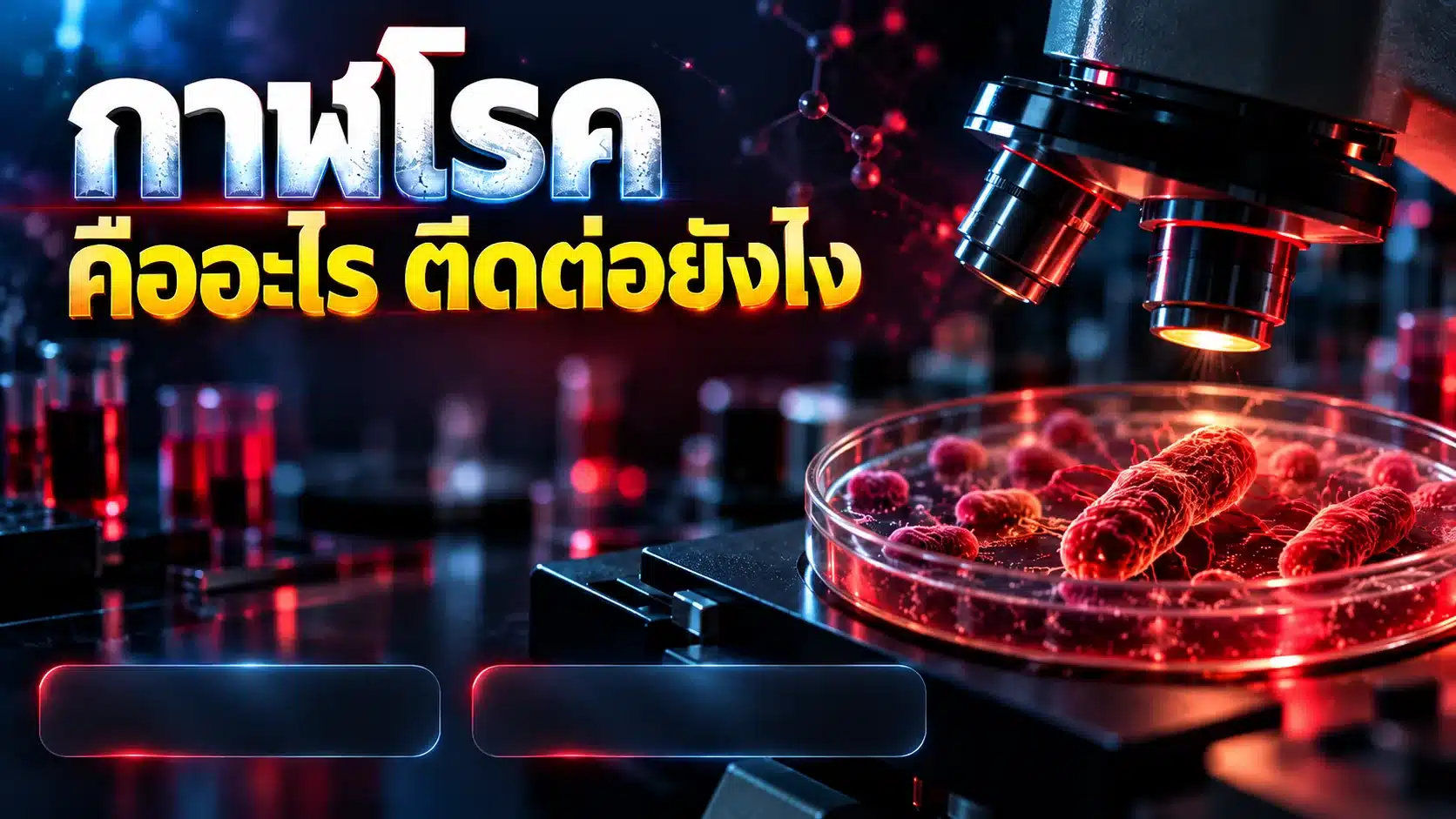 กาฬโรค คืออะไร ติดต่อยังไง? สรุปข่าวรัสเซีย 2026 ที่ต้องรู้